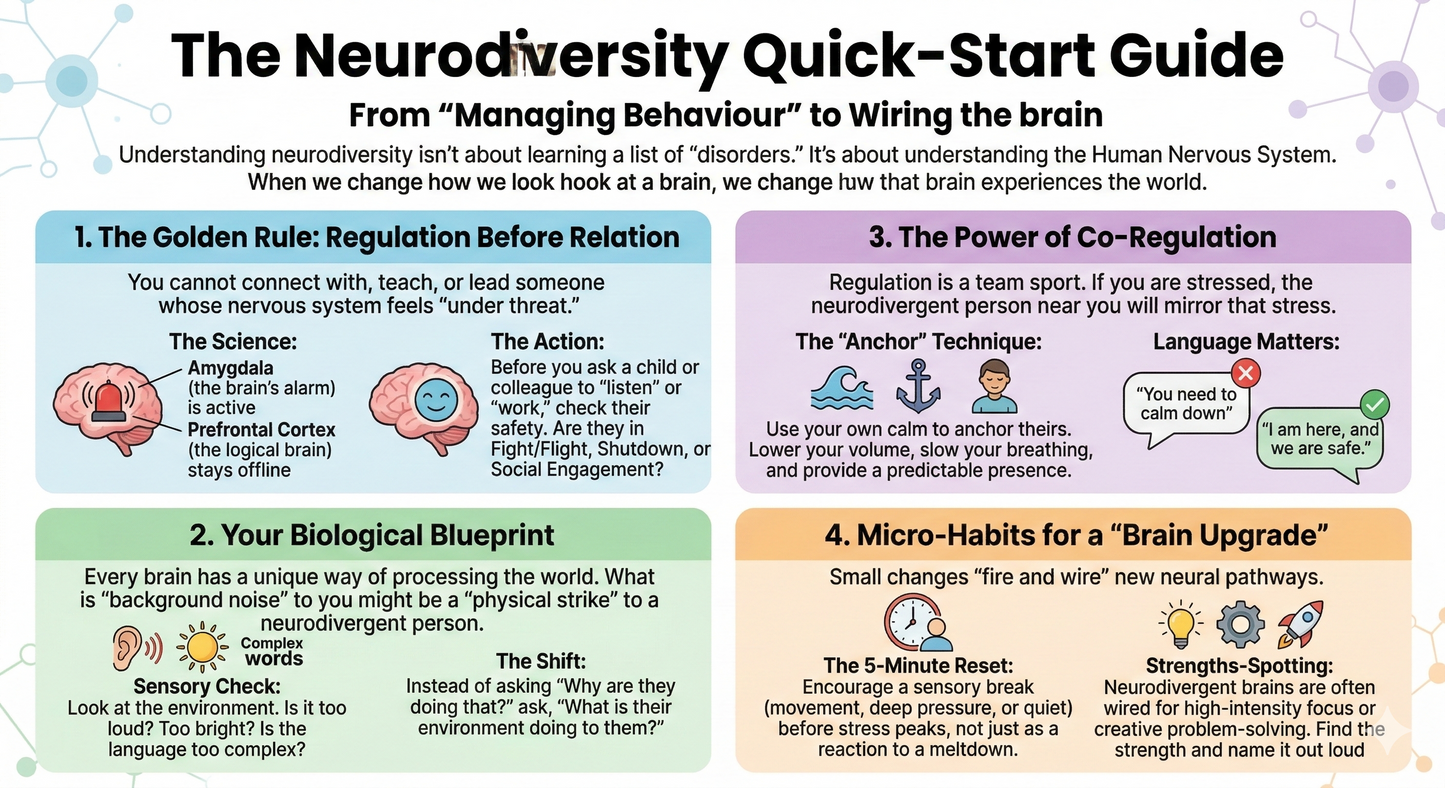 Parent Programme ''Simple routines that calm evenings and improve routines”