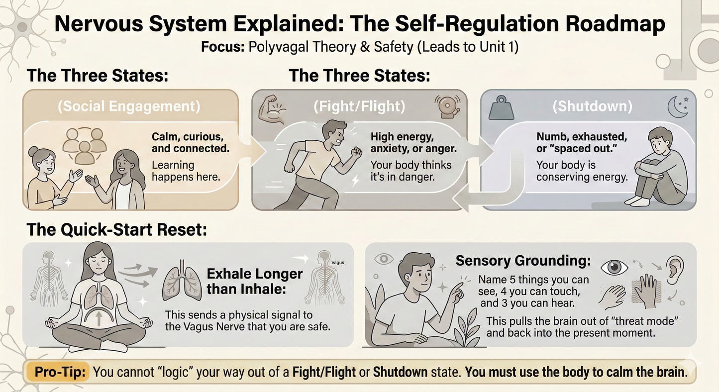 Parent Programme ''Simple routines that calm evenings and improve routines”